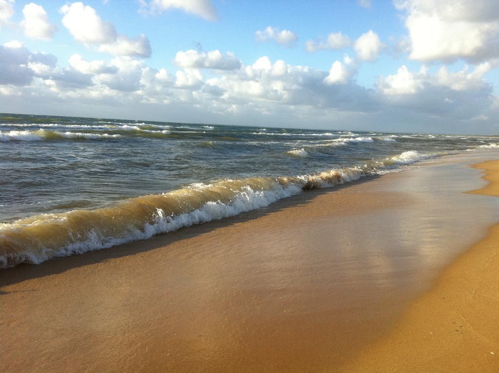 Award Winning Beach Front Retreat แฟรงค์สตัน ภายนอก รูปภาพ